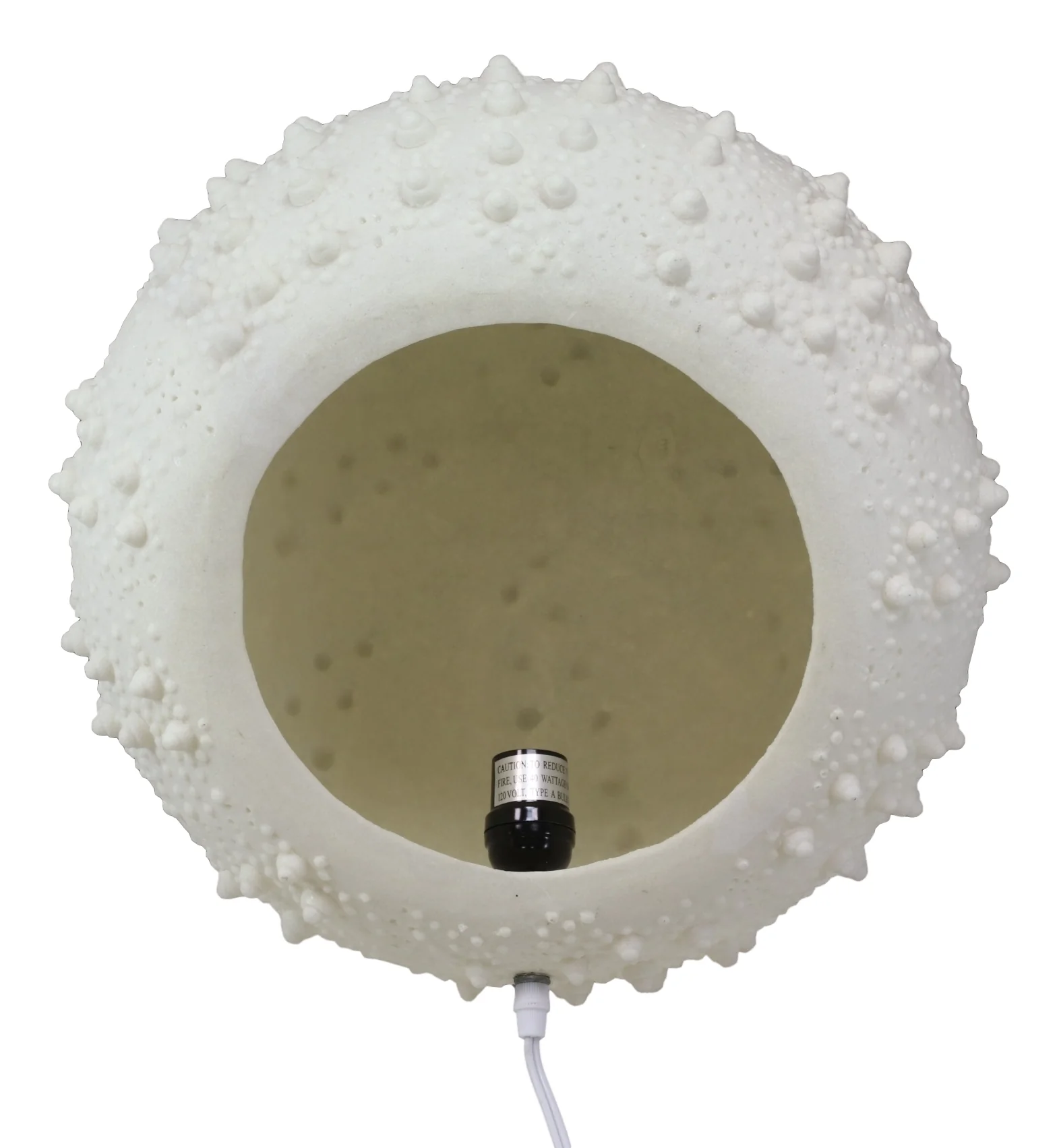 15"D Beach Ocean White Sea Urchin Shell Light Up Frosted Glass Natural Sandstone - Image 5
