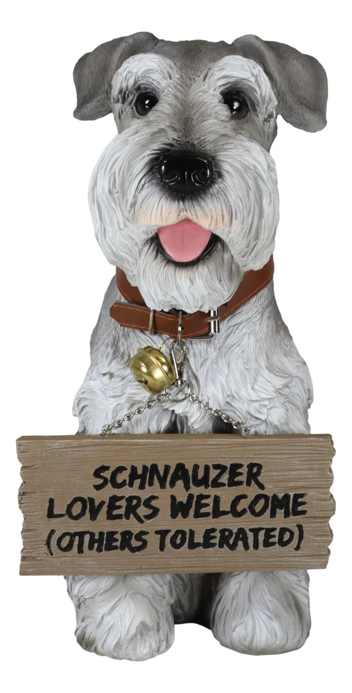 Adorable Grey Schnauzer Dog Sitting With Jingle Collar Greetings Sign Statue - Image 4