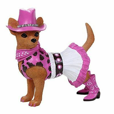 Adorable Western Cowgirl Chihuahua Collection Cute Chihuahua In Costume Dog Coll - Image 2