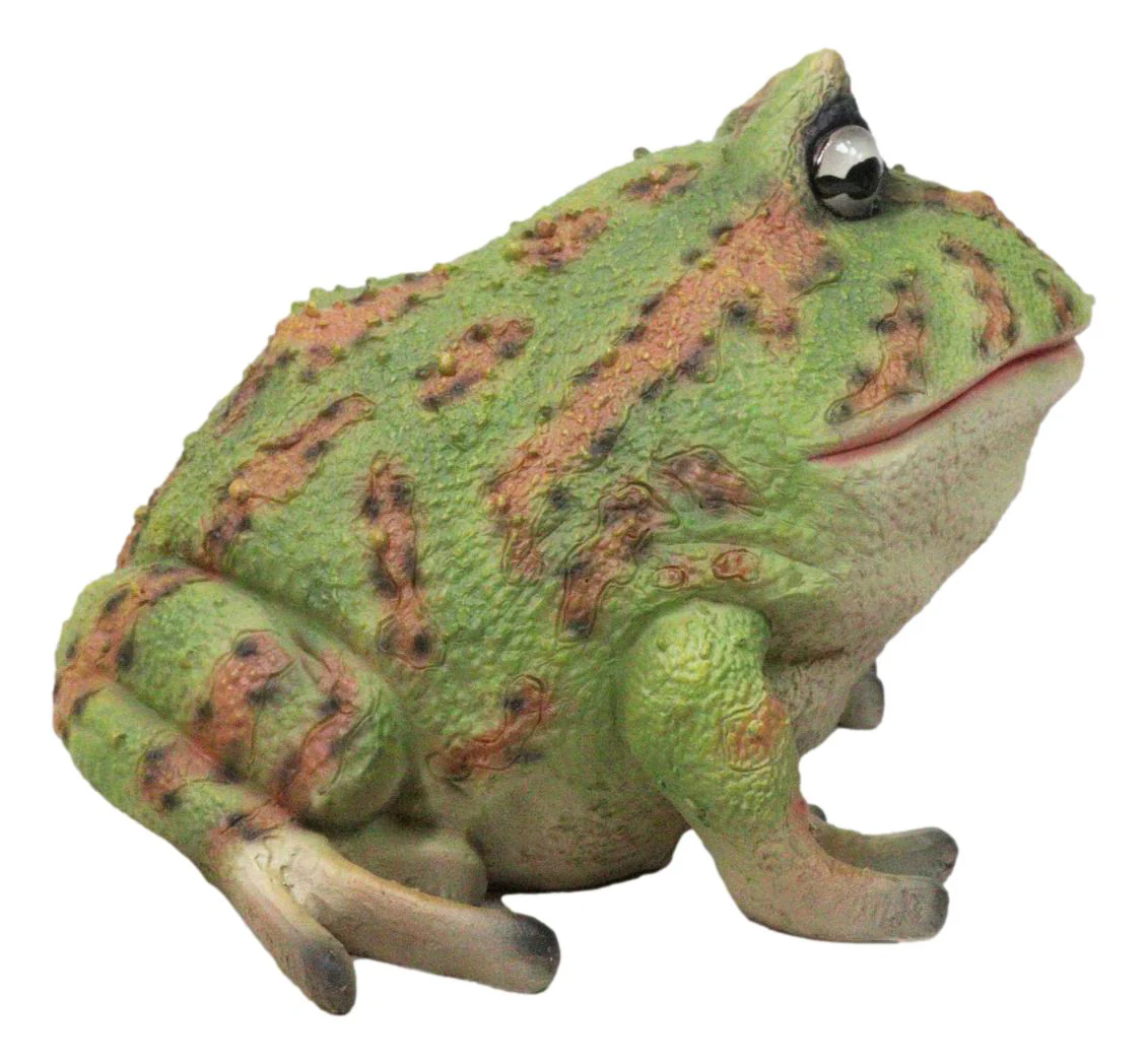 Amphibian Wildlife Realistic Green Bullfrog Frog In Stoic Posture Figurine 7"L - Image 6