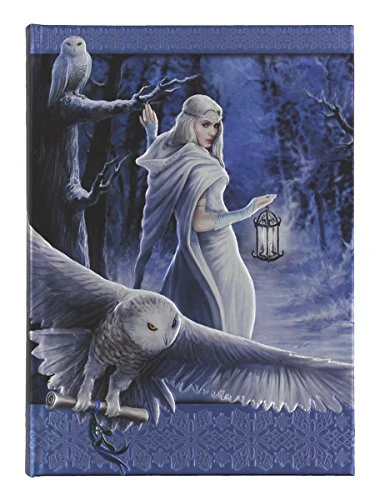 Anne Stoke Curiosity Corner Midnight Messenger with Owl Embossed Journal