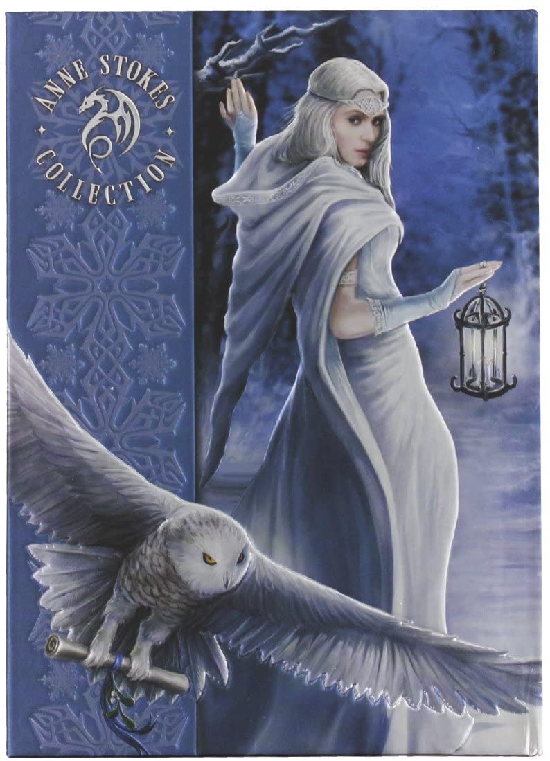 Anne Stoke Curiosity Corner Midnight Messenger with Owl Embossed Journal - Image 2