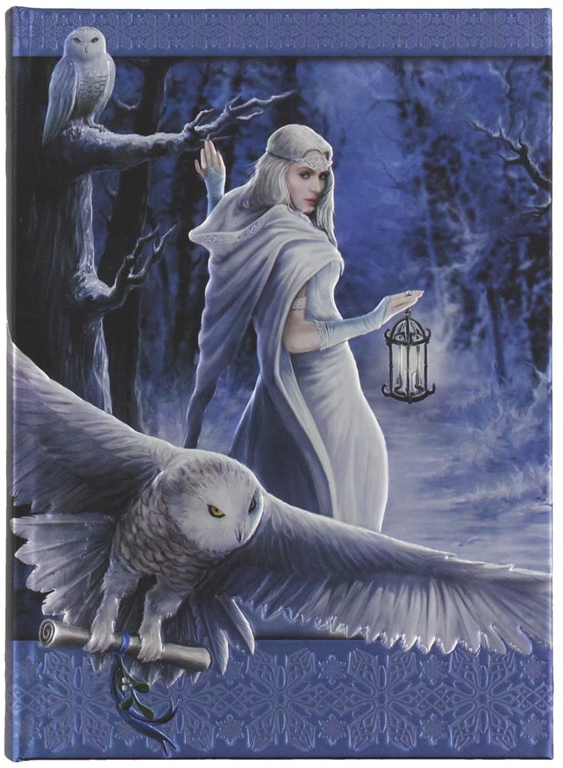Anne Stoke Curiosity Corner Midnight Messenger with Owl Embossed Journal - Image 3