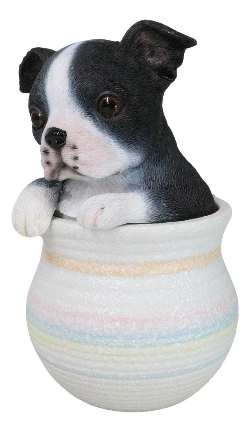 Black White Tuxedo Boston Terrier Puppy Dog Figurine With Glass Eyes Pup In Pot - Image 5