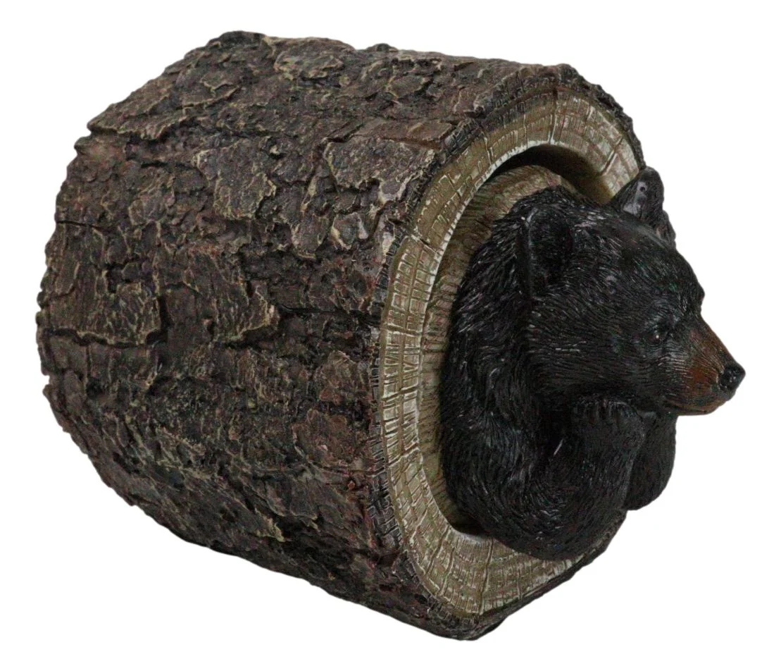 Daydreaming Black Bear in Tree Log Home Decorative Jewelry Trinket Box Figurine - Image 4