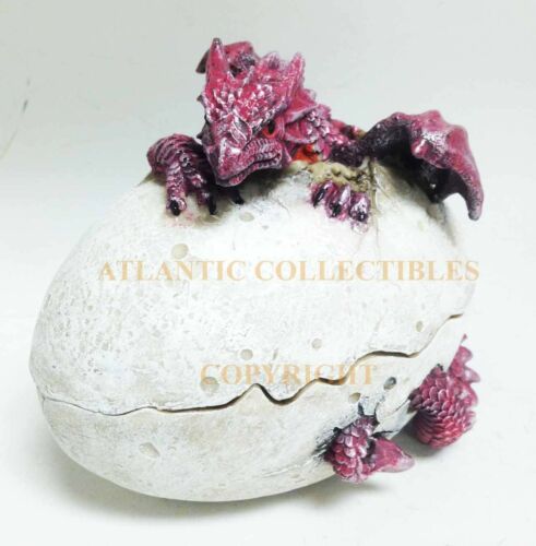 Ebros 5 Inch Red Dragon Hatchling Cracked Egg Jewelry/Trinket Box Figurine - Image 3