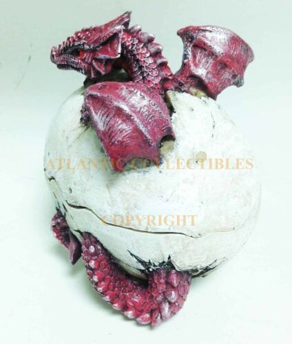 Ebros 5 Inch Red Dragon Hatchling Cracked Egg Jewelry/Trinket Box Figurine - Image 6