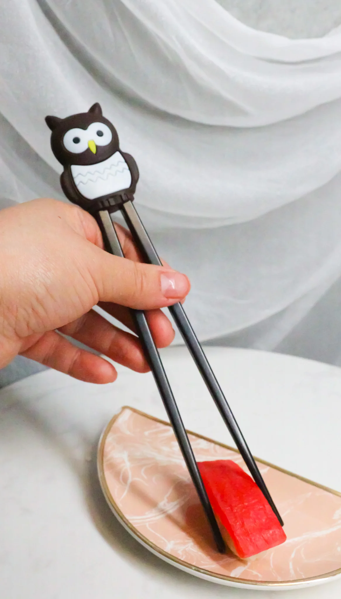 Japanese Chocolate Owl Bird Reusable Training Chopsticks Set With Silicone Guide - Image 10