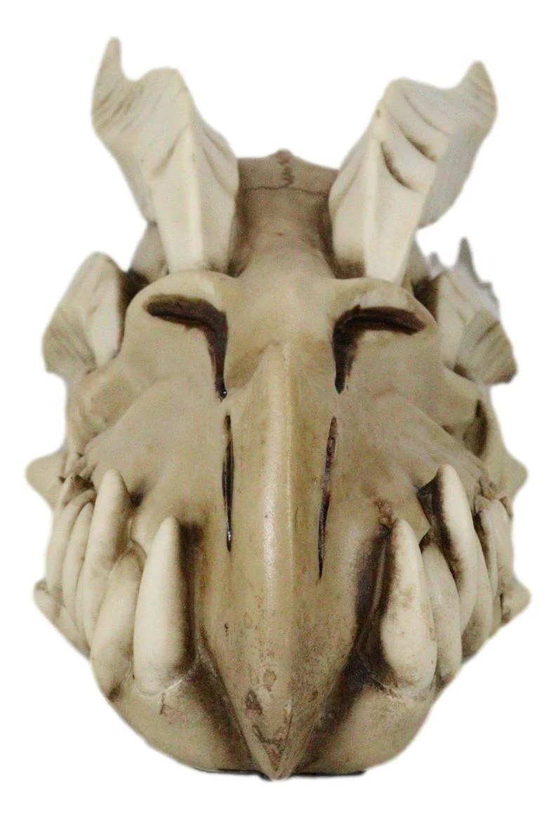 Ebros Dragon Head Skull Realistic Fossil Wall Sculpture Or Desktop Statue 8.25"L - Image 5
