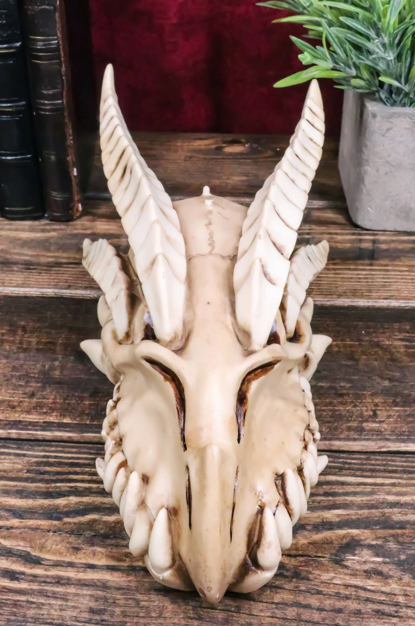Ebros Dragon Head Skull Realistic Fossil Wall Sculpture Or Desktop Statue 8.25"L - Image 6