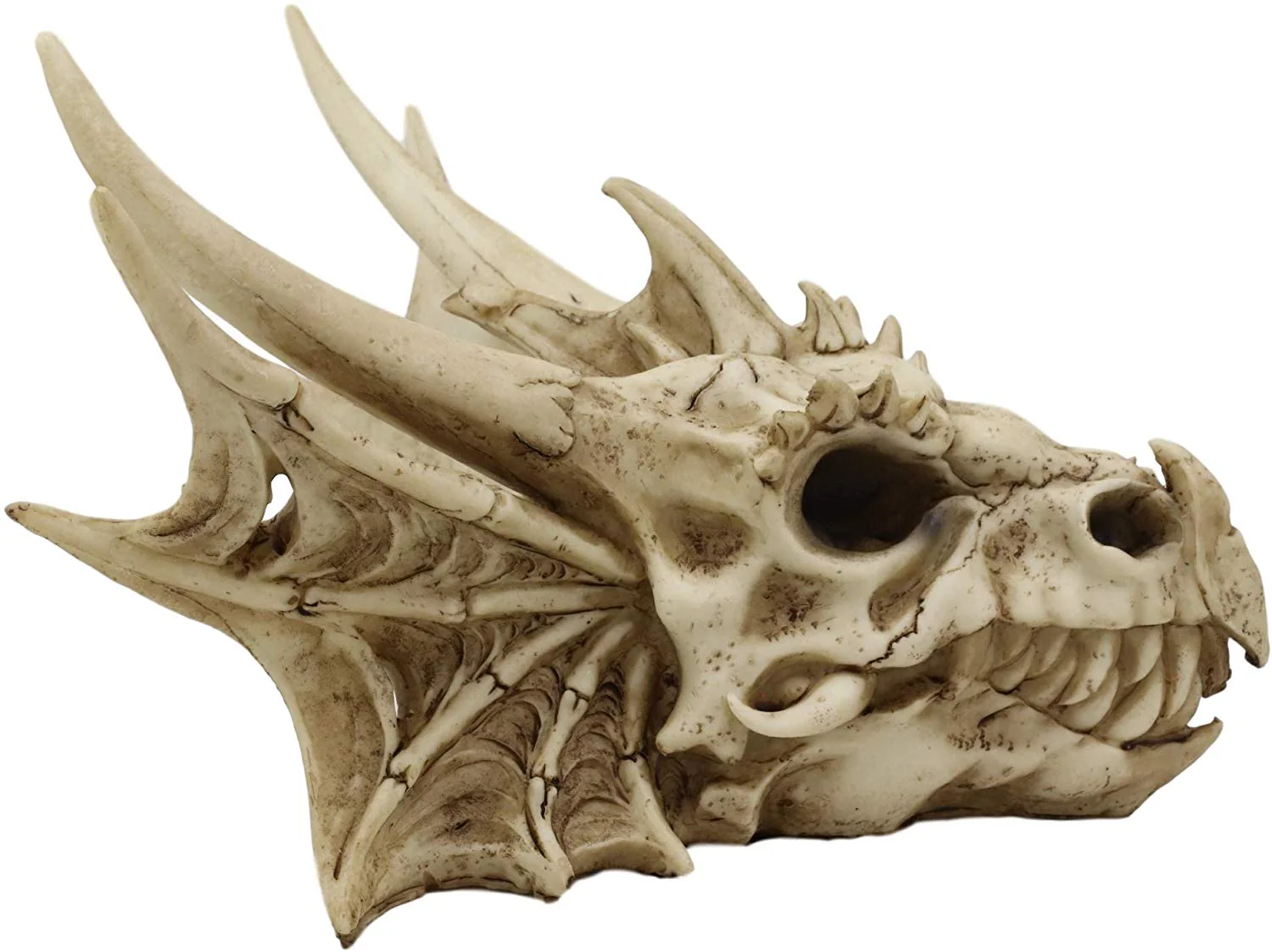 Ebros Elder Jurassic Dragon Head Skull Realistic Fossil Statue 9" Long Figurine - Image 3