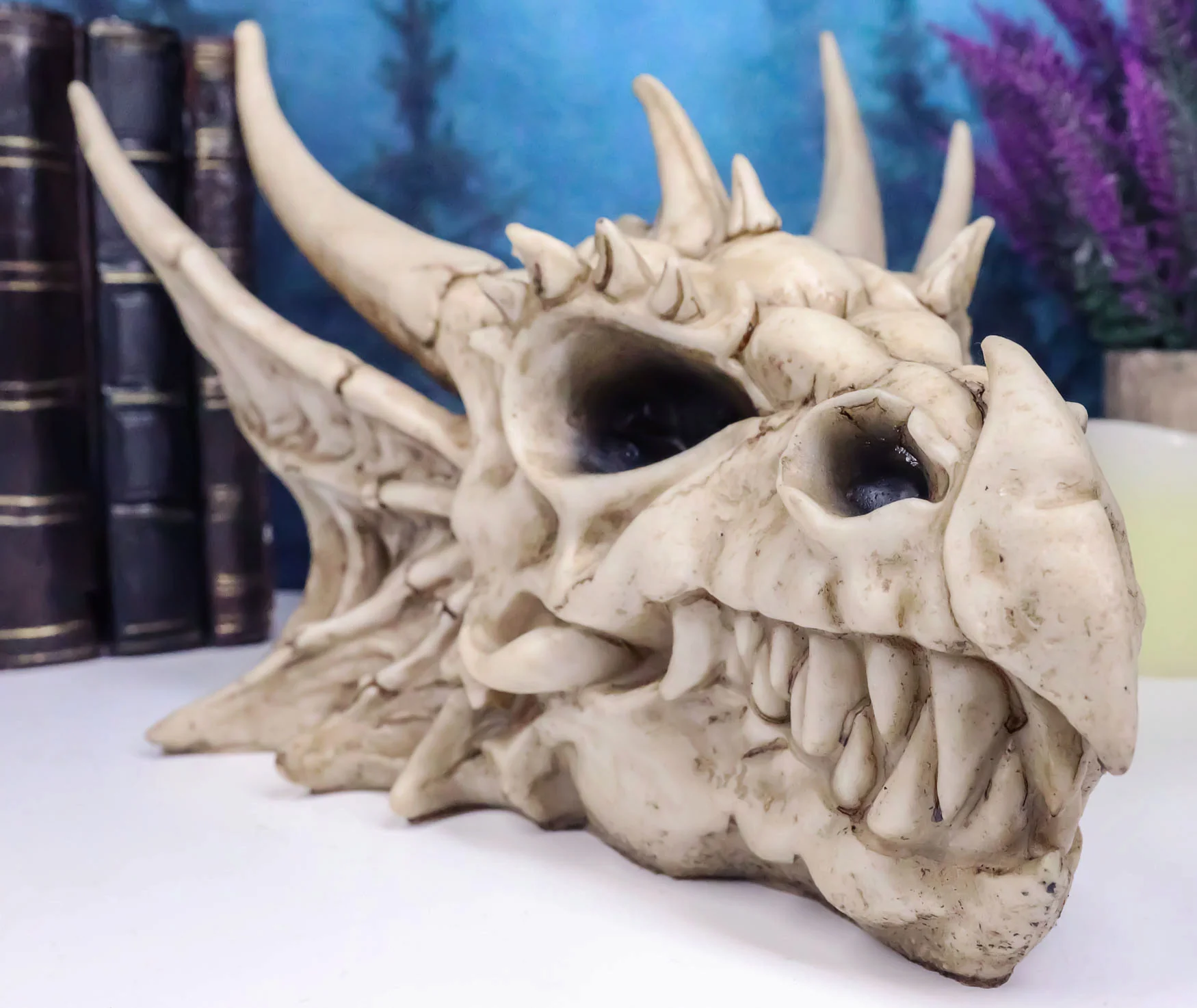 Ebros Elder Jurassic Dragon Head Skull Realistic Fossil Statue 9" Long Figurine - Image 6