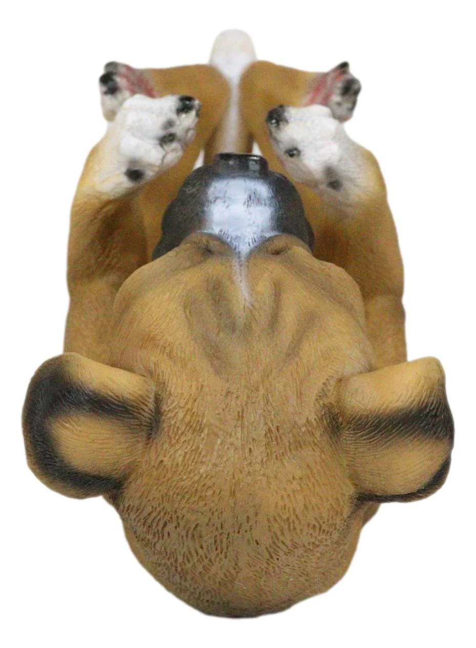 Ebros Canine Pedigree Adorable Fawn Boxer Dog Wine Oil Bottle Holder Figurine Kitchen - Image 6