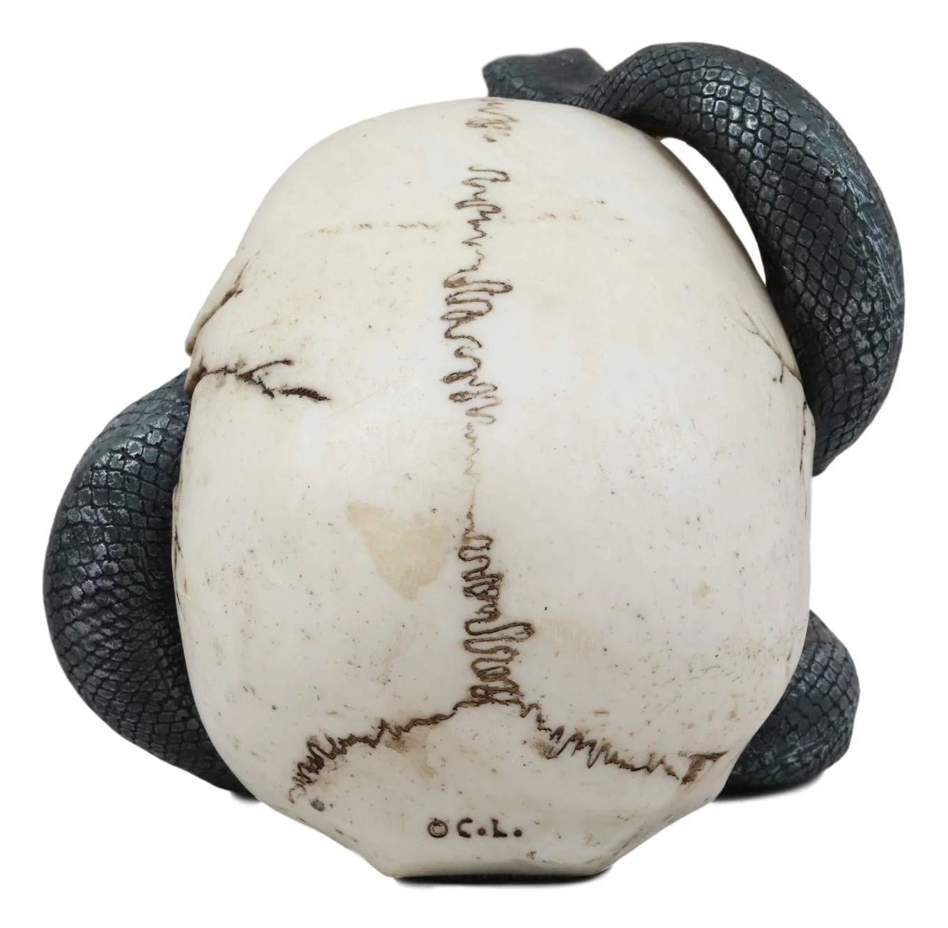 Ebros Gift Large Hissing Black Mamba Venom Snake Skull with Bloodshot Eyes Figurine 7" L Gothic Macabre Serpent Skeleton Cranium 3D Statue Halloween Spooky Decor Day of The Dead Graveyard Sculpture - Image 3