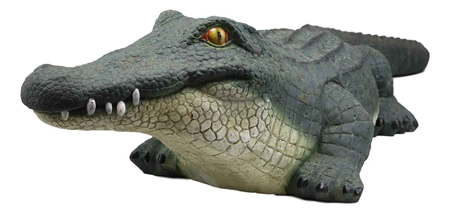Ebros Gift Large Realistic Chubby Crocodile On Belly Garden Accent Statue Lake Home Patio Pool Exotic Decor of Alligators Crocodiles Caiman Gator Decorative Sculpture Figurine (31" Long) - Image 3