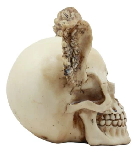 Ebros Day Of The Dead Guardian Angel Winged Skull Statue Time Waits For No Man Figure - Image 5
