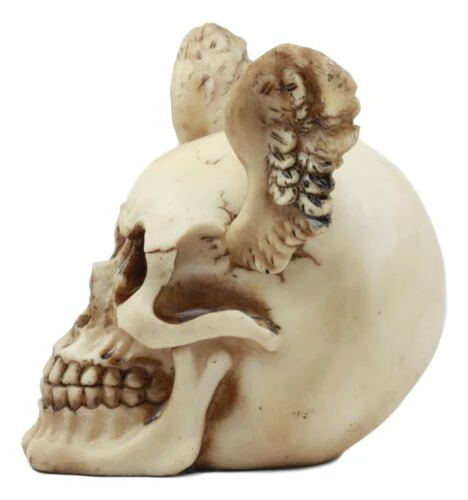 Ebros Day Of The Dead Guardian Angel Winged Skull Statue Time Waits For No Man Figure - Image 6