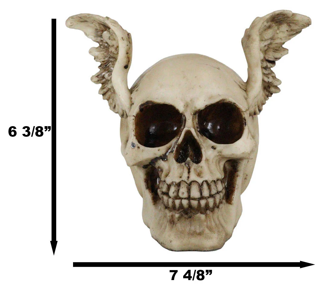 Ebros Day Of The Dead Guardian Angel Winged Skull Statue Time Waits For No Man Figure - Image 8