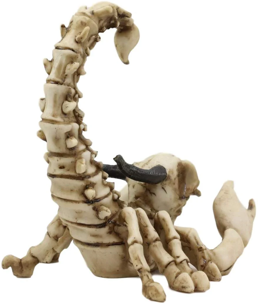 Ebros Gothic Giant Scorpion Skeleton with Horned Demon Skull Statue 7.25" Tall - Image 3