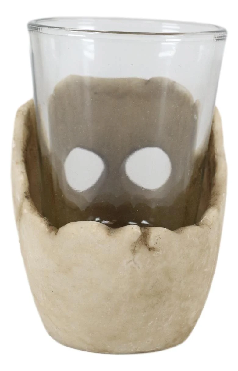 Ebros Grinning Skull Shot Glass Set of 12 Altar of Skulls Skeleton Ossuary Skull - Image 2