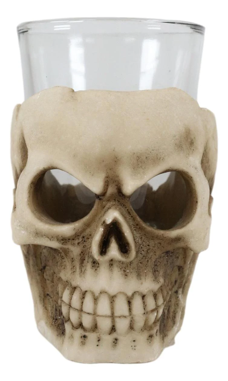 Ebros Grinning Skull Shot Glass Set of 12 Altar of Skulls Skeleton Ossuary Skull - Image 3