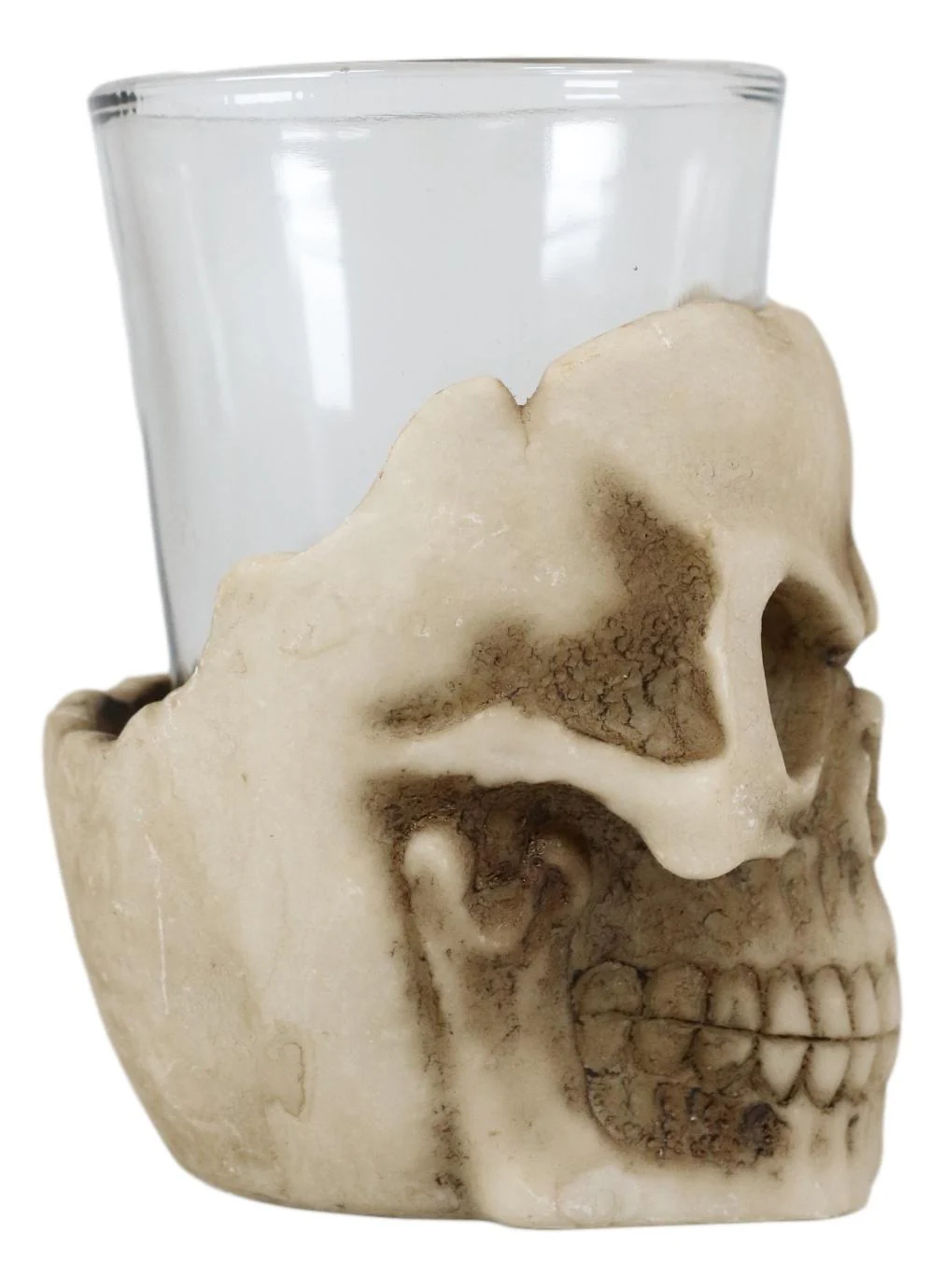 Ebros Grinning Skull Shot Glass Set of 12 Altar of Skulls Skeleton Ossuary Skull - Image 4