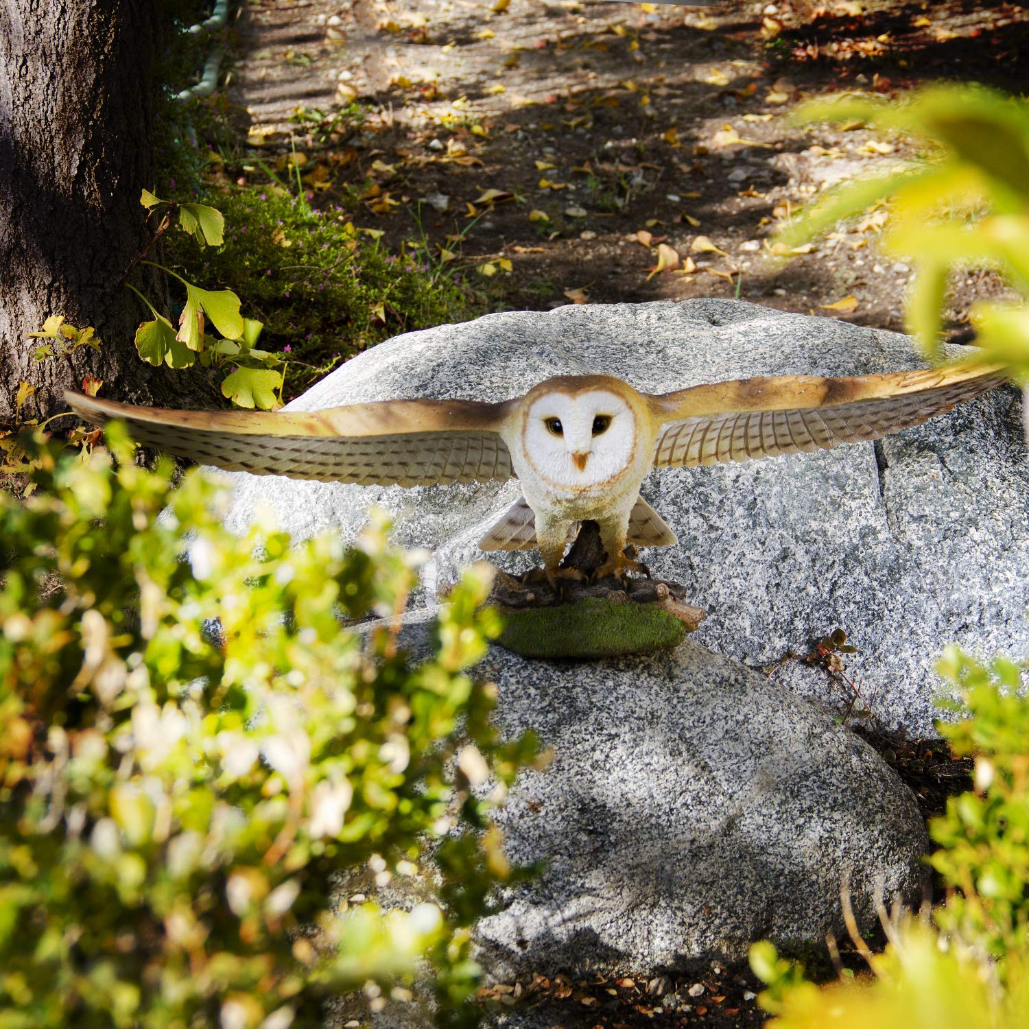 Large Realistic Common Barn Owl Swooping Over Tree Stump Glass Eyes Statue 30"L - Image 6