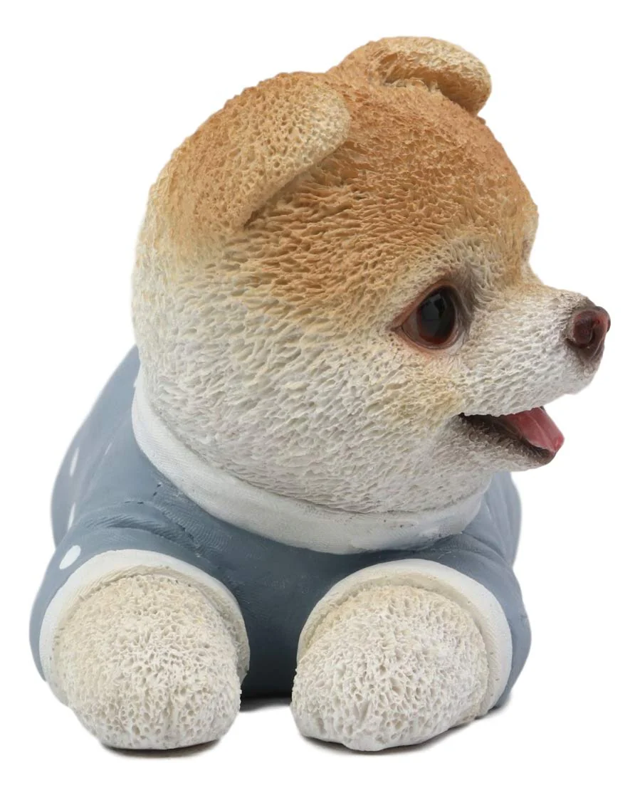 Ebros Polkadot Pajamas Boo The World's Cutest Pomeranian Dog Statue Pet Pal Dogs Collectible Breed Pomeranians Memorial Collectible Resin Decor Figurine with Glass Eyes Official Licensed Sculpture - Image 4
