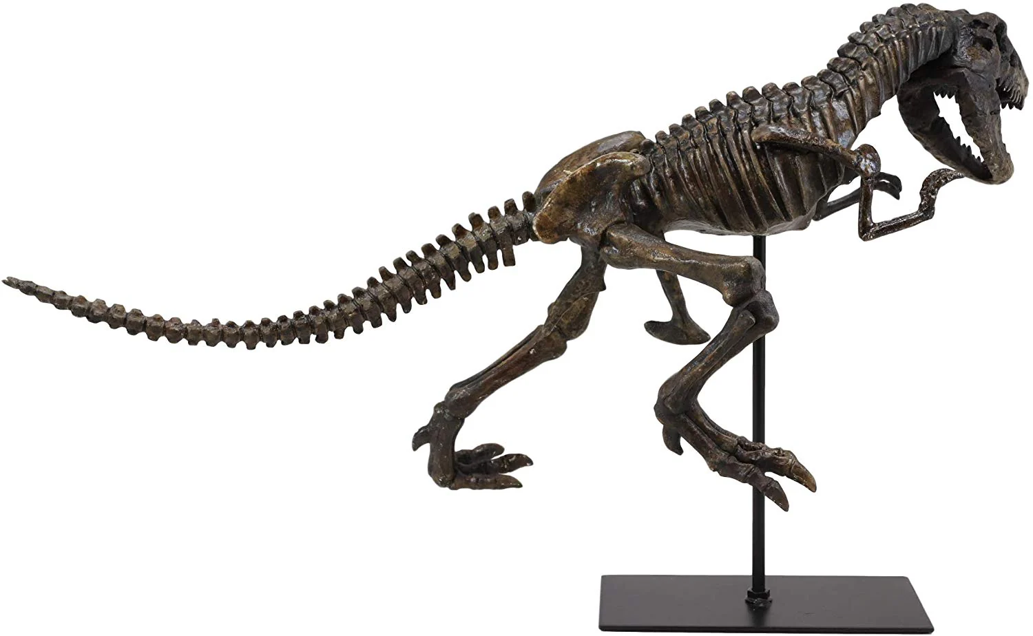 Ebros Jurassic Dinosaur Tyrannosaurus Rex Fossil Skeleton Statue On Museum Mount 24"L - Image 2