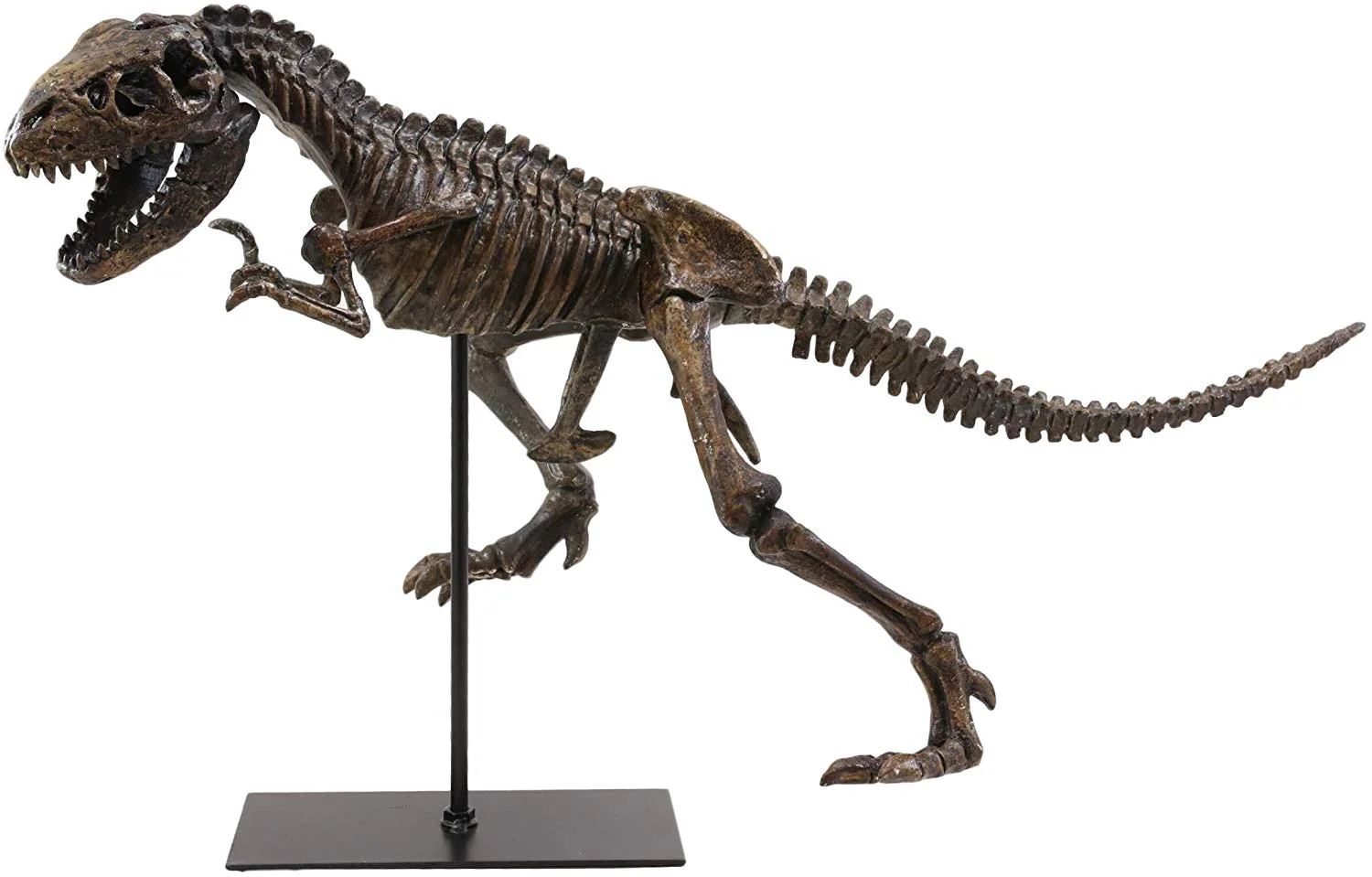 Ebros Jurassic Dinosaur Tyrannosaurus Rex Fossil Skeleton Statue On Museum Mount 24"L - Image 3