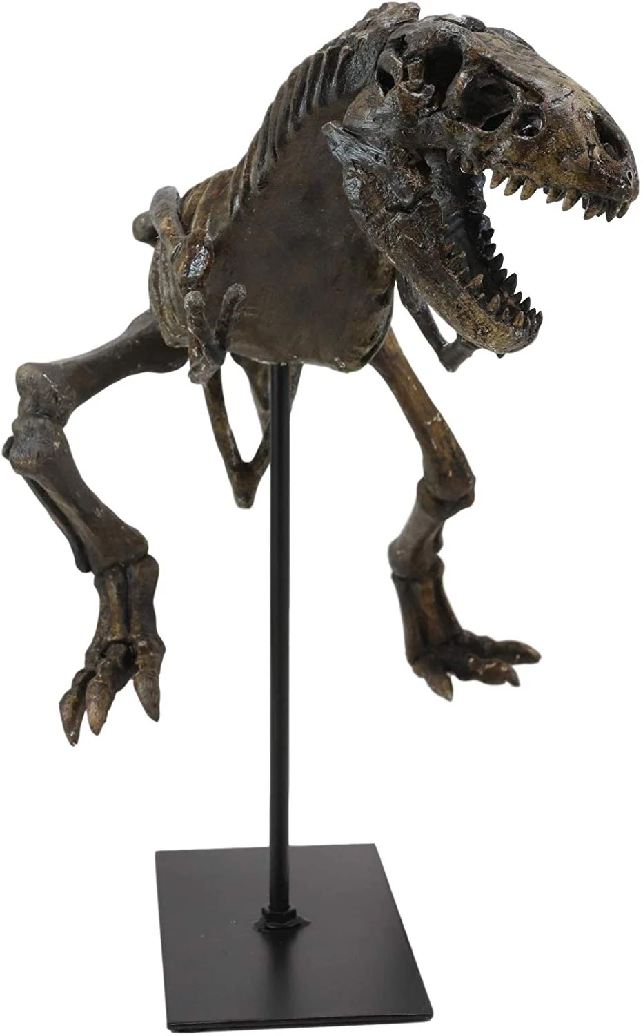 Ebros Jurassic Dinosaur Tyrannosaurus Rex Fossil Skeleton Statue On Museum Mount 24"L - Image 5