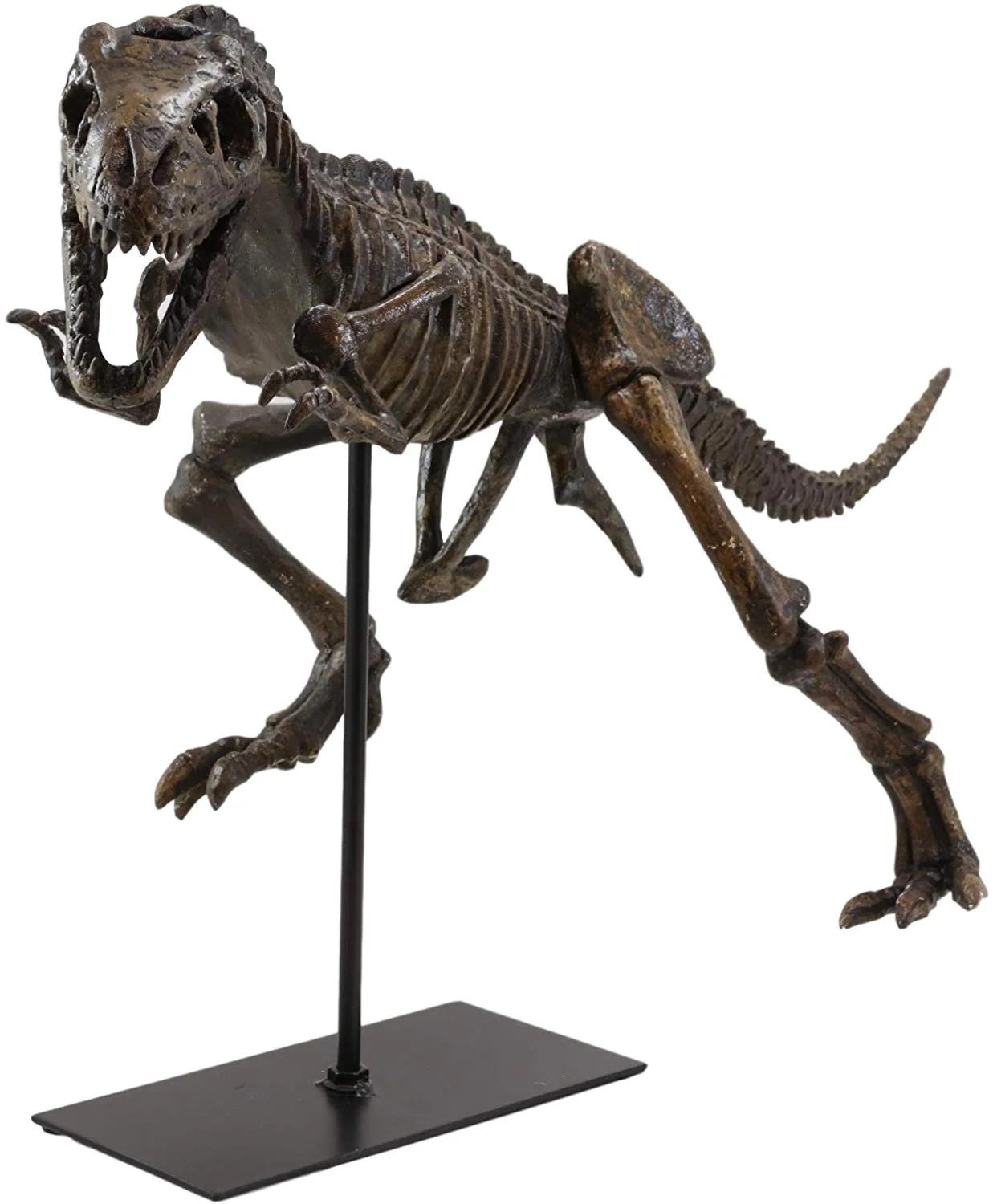 Ebros Jurassic Dinosaur Tyrannosaurus Rex Fossil Skeleton Statue On Museum Mount 24"L - Image 6