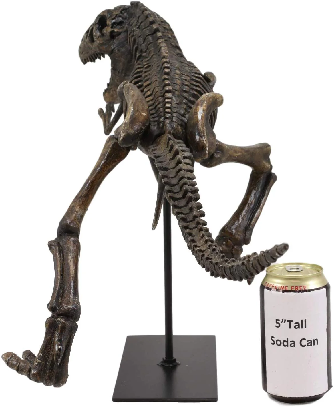 Ebros Jurassic Dinosaur Tyrannosaurus Rex Fossil Skeleton Statue On Museum Mount 24"L - Image 7