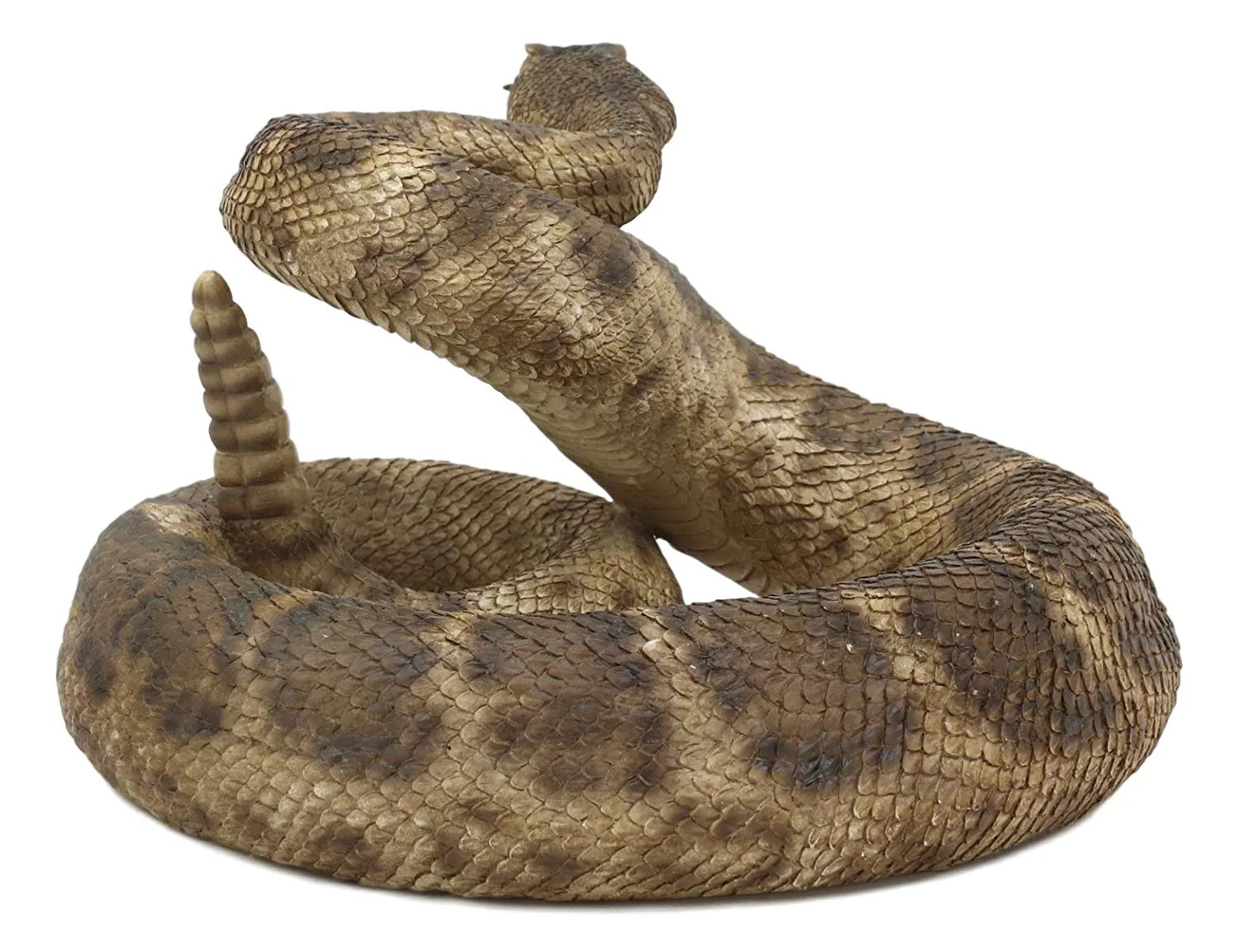Ebros Realistic Diamondback Rattlesnake Hand Painted Taxidermy Statue 8.25"Long - Image 3