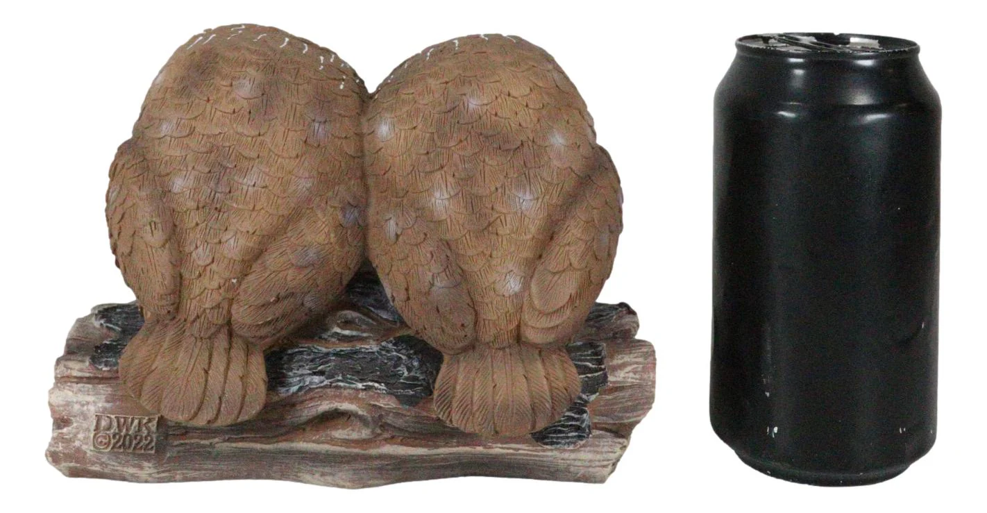 Ebros Romantic Owl Couple Statue Wisdom Of The Forests Love Birds Pair Of Owls Holding Heart Shaped Sign - Image 10