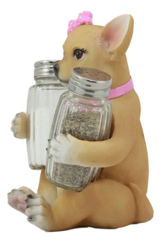Ebros Bonita Pretty In Pink Girl Chihuahua Dog Salt And Pepper Shakers Holder - Image 2