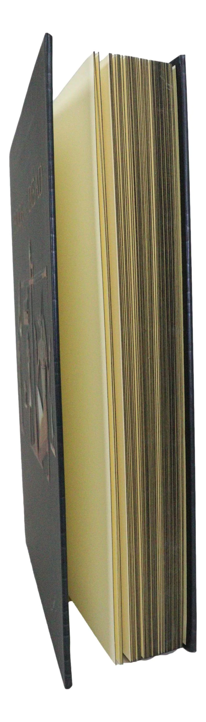 Egyptian Book Of The Dead Anubis With Scales Embossed Blank Page Journal Book - Image 8