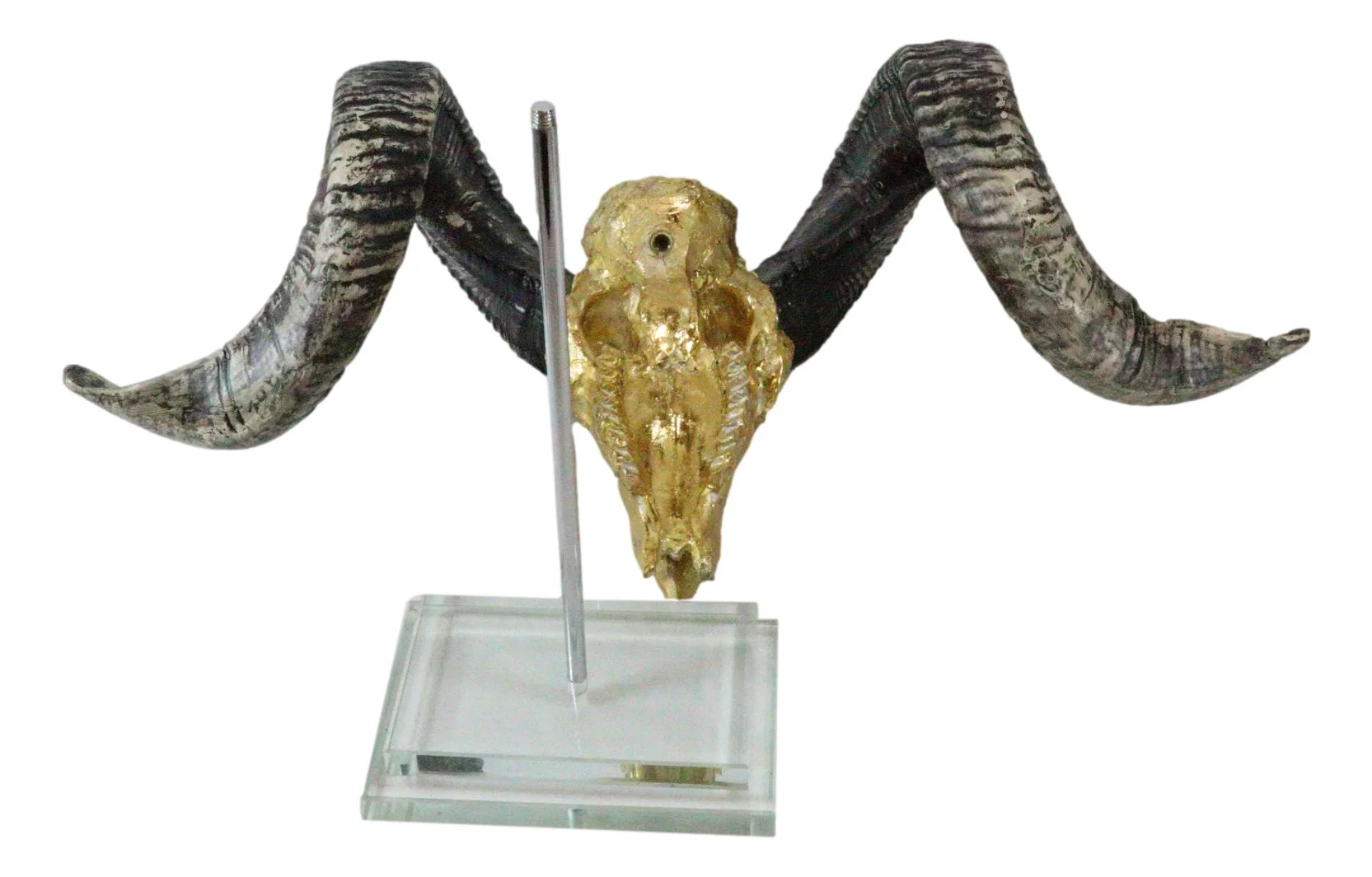 Electroplated Gold Realistic Bighorn Sheep Ram Skull Sculpture On Pole Stand - Image 4