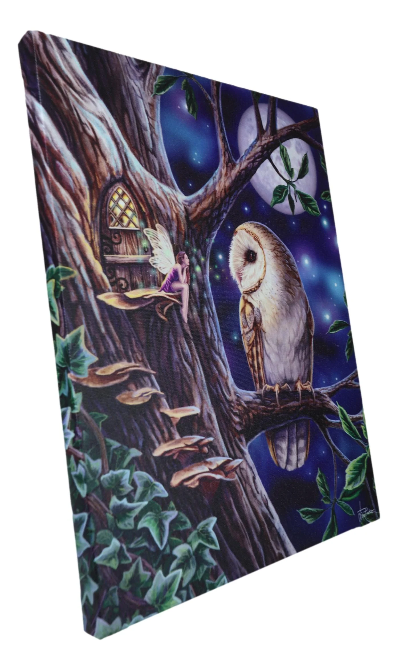Fairy Tales Pixie Tree House With Witch Owl Wood Framed Canvas Wall Decor - Image 3