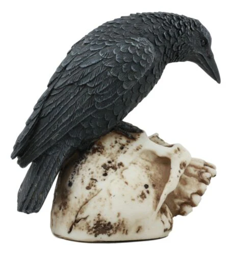 Foreboding Dark Crow Raven On Skull Statue 5"Tall Ossuary Scavenger Raven Bird - Image 4