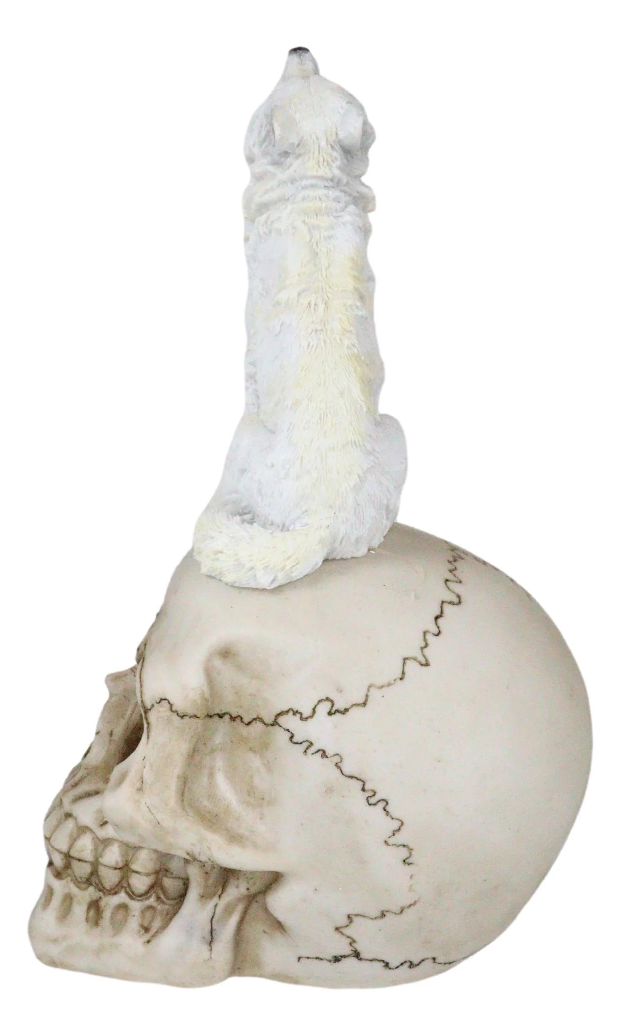 Gothic Full Moon Howling White Wolf Sitting On Graveyard Macabre Skull Figurine - Image 3