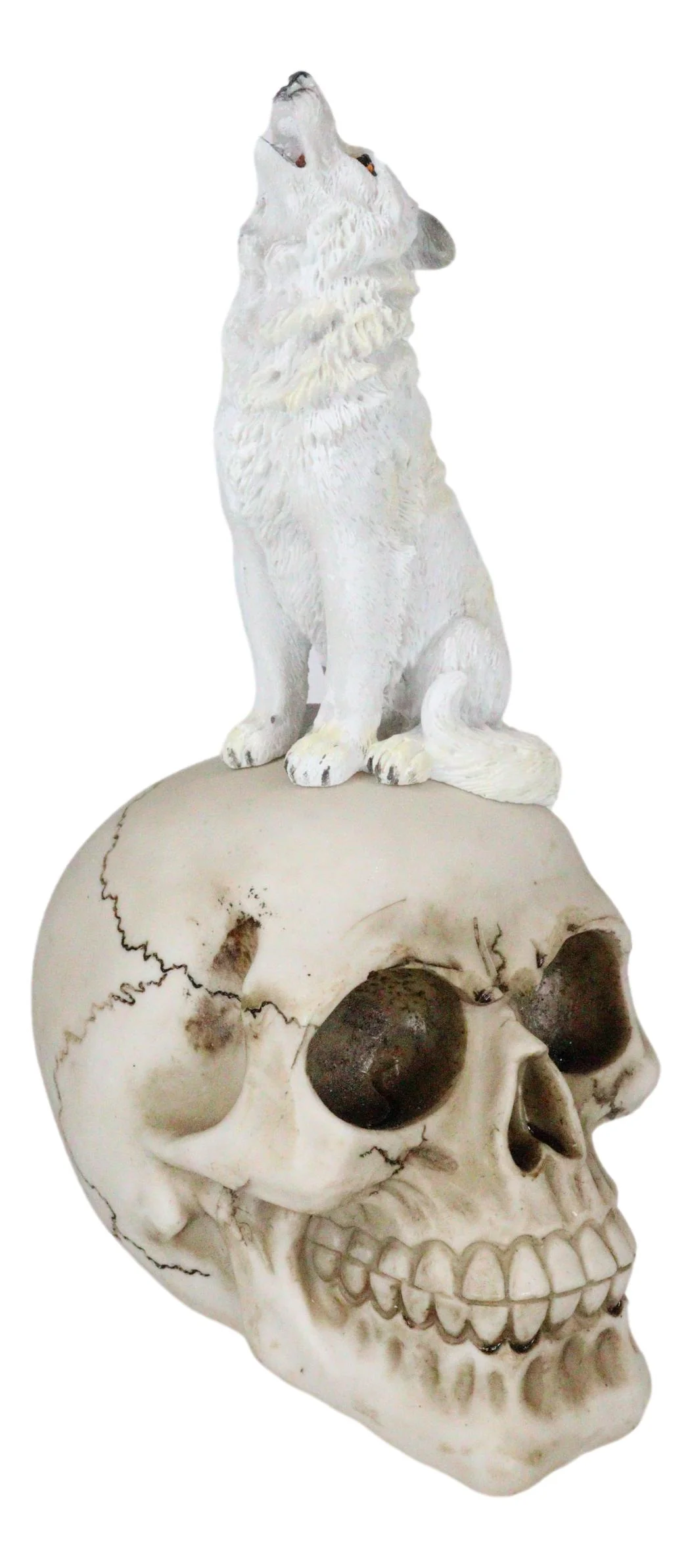 Gothic Full Moon Howling White Wolf Sitting On Graveyard Macabre Skull Figurine - Image 4