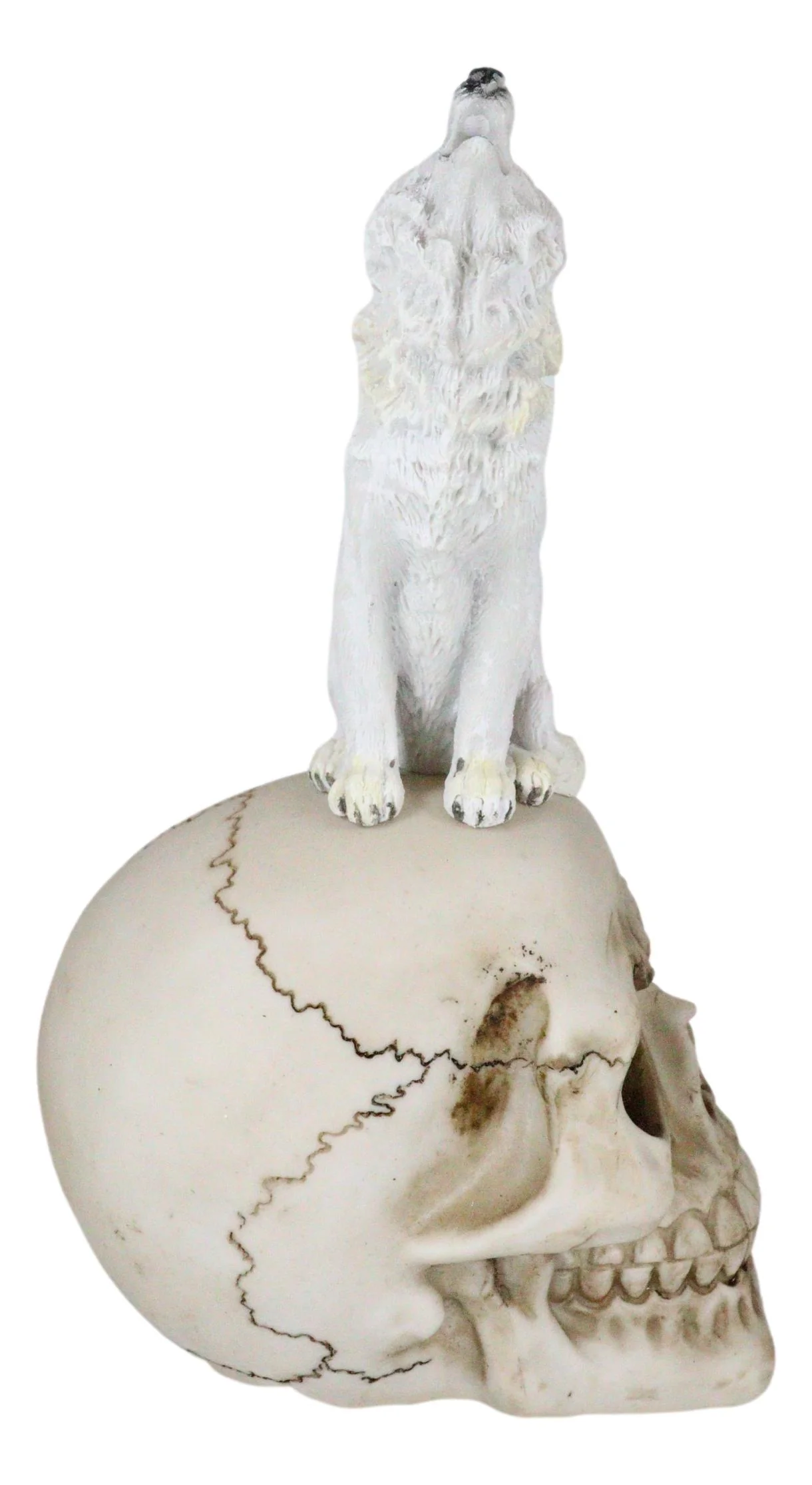Gothic Full Moon Howling White Wolf Sitting On Graveyard Macabre Skull Figurine - Image 5