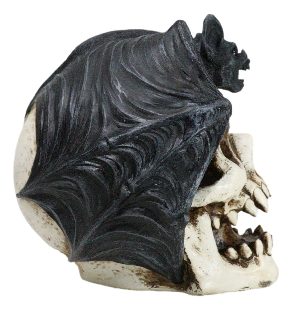 Gothic Nocturnal Vampire Bat Perching On Dracula Fanged Skull Figurine - Image 4