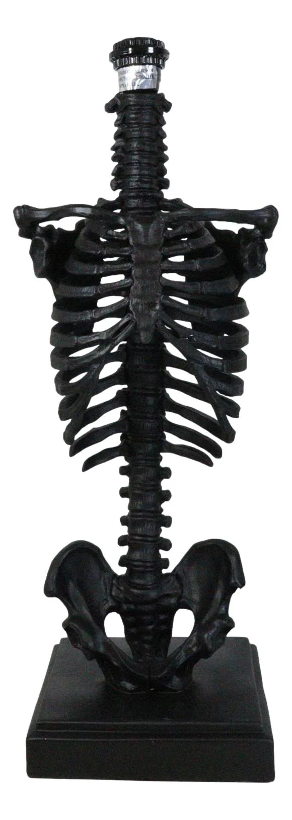 Gothic Ossuary Black Skeleton Rib Cage Torso Human Anatomy Table Lamp With Shade - Image 4