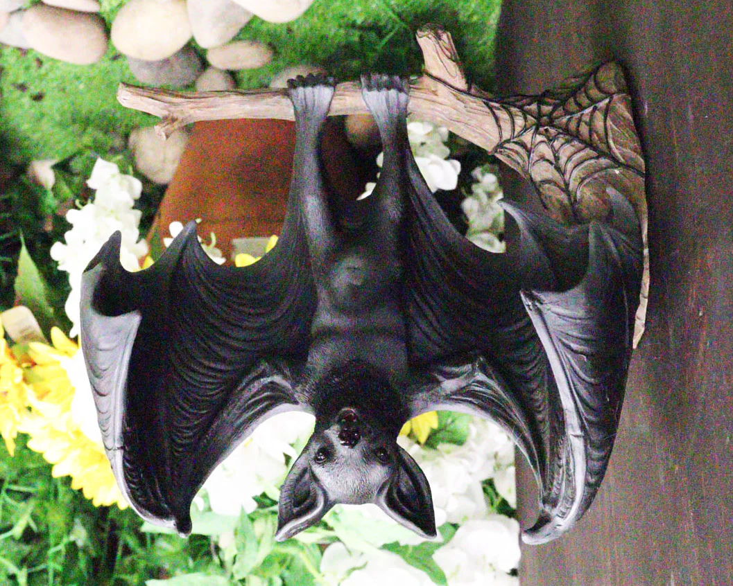 Gothic Winged Vampire Bat By Spider Web Hanging From Branch Wall Hanging Decor - Image 6