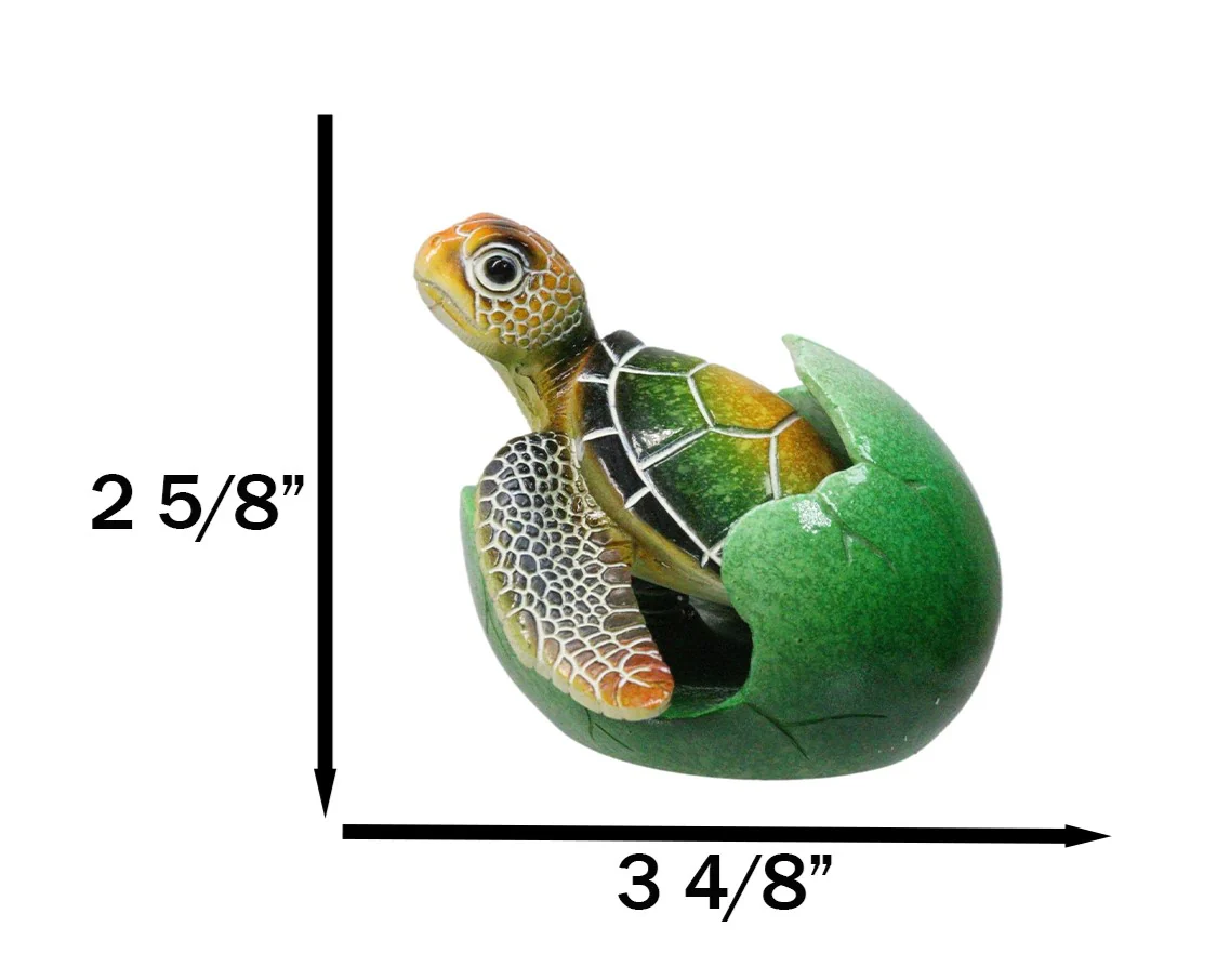 Green Nautical Marine Sea Turtle Hatchling Emerging Out of Egg Mini Figurine - Image 6