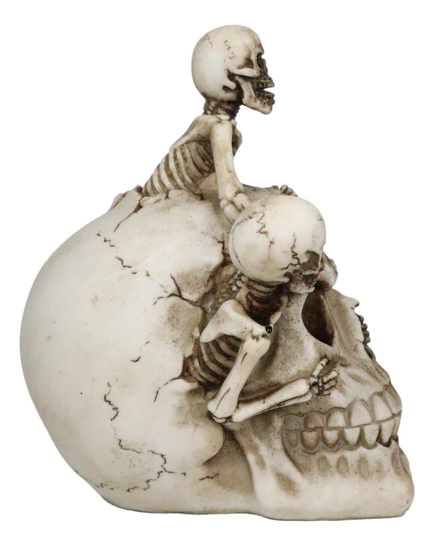 Grinning Jointed Cranium Skull With Triple Threat Skeletons Ossuary Figurine - Image 5