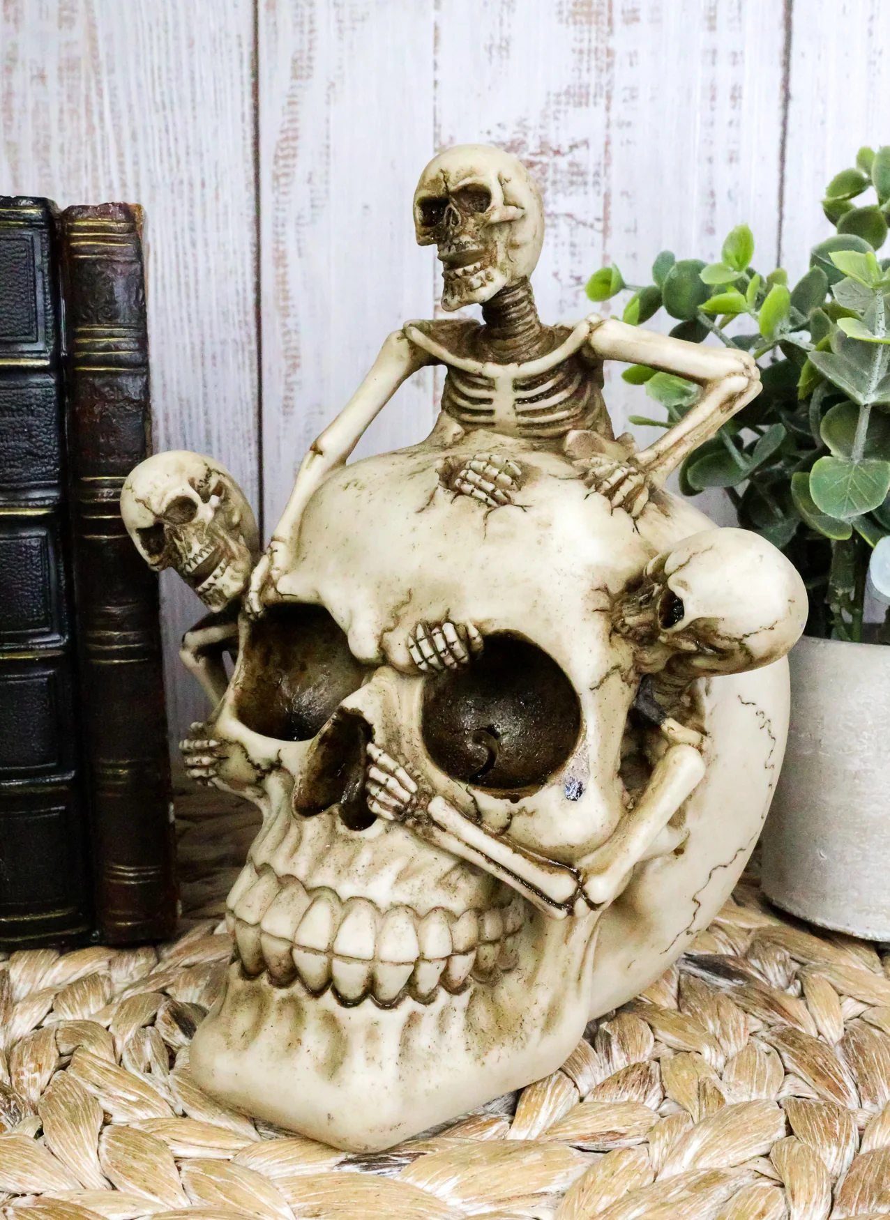 Grinning Jointed Cranium Skull With Triple Threat Skeletons Ossuary Figurine - Image 7