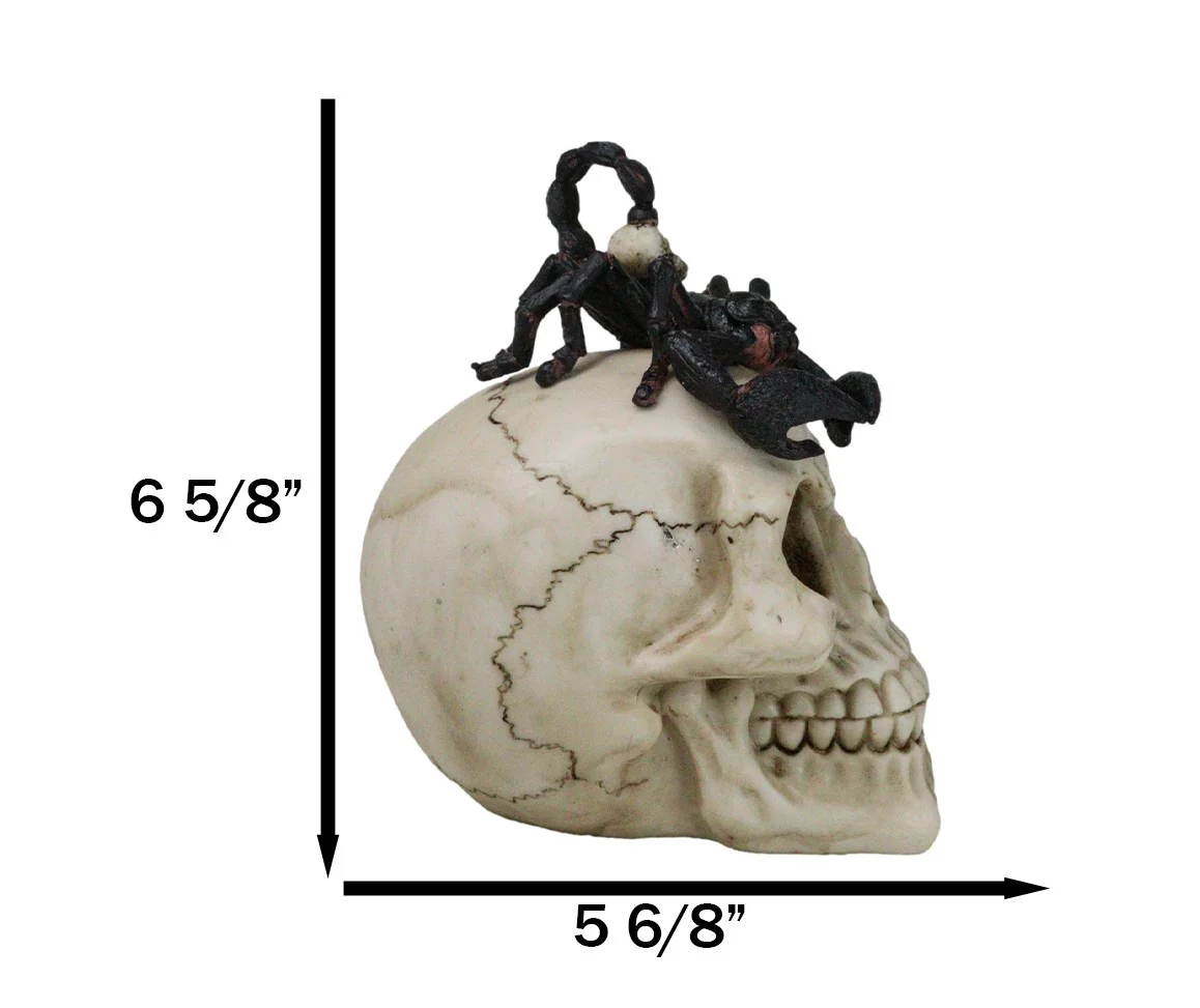Halloween Macabre Gothic King Scorpion Demoniac On Skull Figurine - Image 2